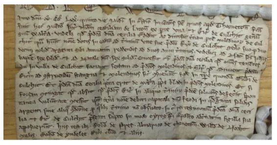 Medieval mill document reproduced in the historical research