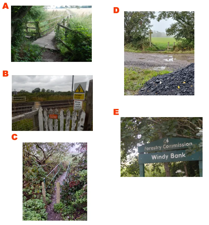 walk3-images.png