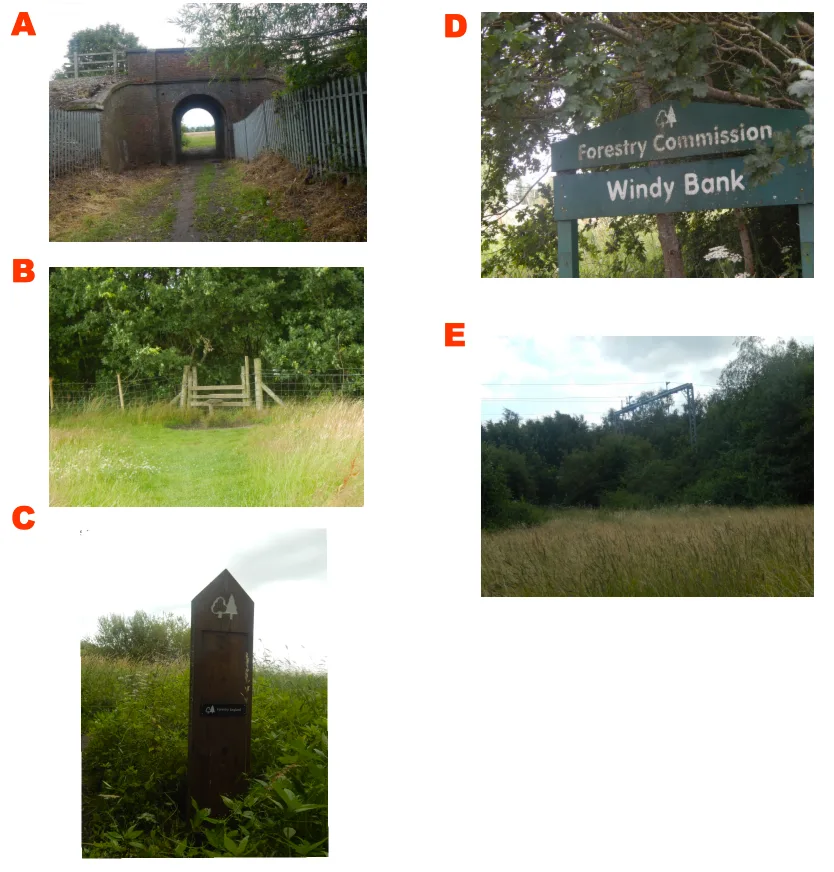walk2-images.png
